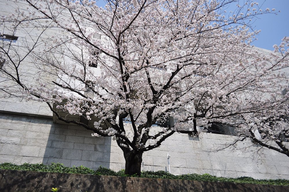 千代田区にある最高裁判所の建物